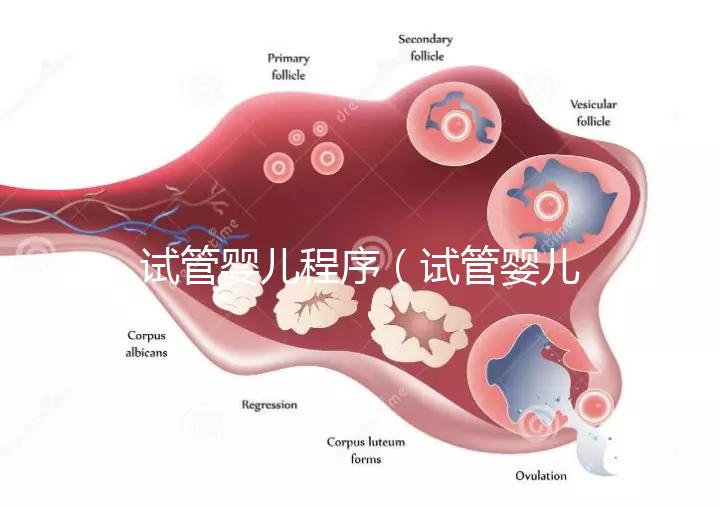 試管嬰兒程序（試管嬰兒程序和時(shí)間）