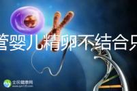 試管嬰兒精卵不結合只是基因問題？這幾大原因告知真相