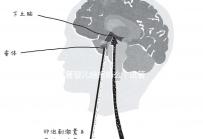 試管嬰兒給報銷么（試管嬰兒給報銷嗎）