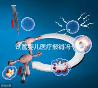 試管嬰兒醫(yī)療報銷嗎（試管嬰兒醫(yī)療報銷嗎多少錢）