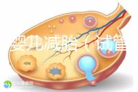 試管嬰兒減胎（試管嬰兒減胎最佳時間）