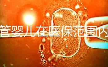 試管嬰兒在醫(yī)保范圍內(nèi)(試管嬰兒在醫(yī)保范圍內(nèi)能報(bào)銷嗎)