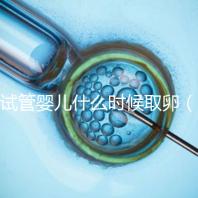 試管嬰兒什么時候取卵（試管嬰兒什么時候取卵和移植）