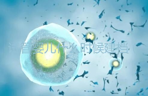 試管嬰兒什么時(shí)候建檔（試管建檔當(dāng)天要交多少錢）