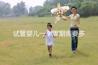 試管嬰兒一個(gè)周期需要多長時(shí)間