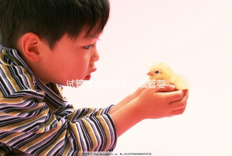 試管嬰兒報(bào)銷么（試管嬰兒費(fèi)用可以報(bào)銷醫(yī)保嗎）