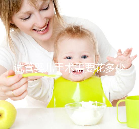 試管嬰兒手術(shù)需要花多少錢(qián)