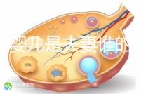 試管嬰兒是夫妻誰(shuí)的問(wèn)題（試管嬰兒是夫妻的嗎）