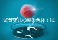 試管嬰兒檢查染色體（試管嬰兒檢查染色體有什么作用）