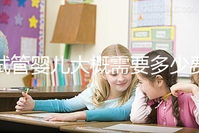 試管嬰兒大概需要多少費用（試管嬰兒大概需要多少費用多少）