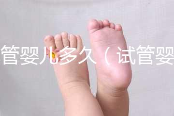 試管嬰兒多久（試管嬰兒多久能測(cè)出來(lái)懷孕）