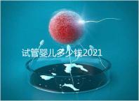 試管嬰兒多少錢(qián)2021（試管嬰兒多少錢(qián)2021年成功率）