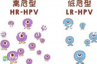 試管嬰兒詳細(xì)過程（試管嬰兒詳細(xì)過程小說）