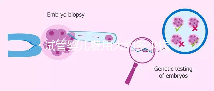 試管嬰兒費用大約多少錢（泰國試管嬰兒費用大約多少錢）