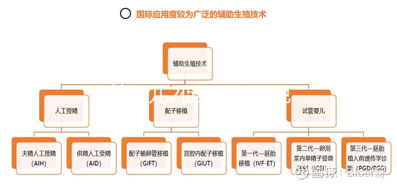 試管嬰兒2促3移，說(shuō)說(shuō)5點(diǎn)我的成功懷孕經(jīng)驗(yàn)