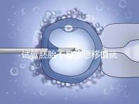試管胚胎不是你想移植就可以移動的，需要滿足這些條件！