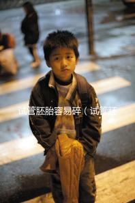 試管胚胎容易碎（試管胚胎容易碎裂嗎）