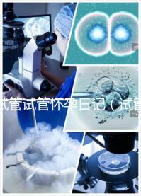 試管試管懷孕日記（試管日志）