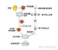 輪狀病毒疫苗雖非終身免疫，寶寶接種的好處不止一點
