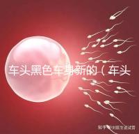 車頭黑色車身新的（車頭黑色車身新的好看嗎）