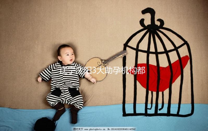 遼寧沈陽3大助孕機構都在這，來看看你知道幾家