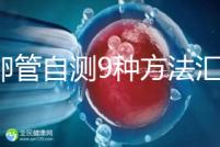 輸卵管自測9種方法匯總，試紙+晨尿怎么用最準有竅門