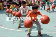 輔酶Q10哪種牌子好?10種不同品牌價(jià)格與優(yōu)勢對比分析