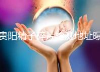 貴陽精子碎片檢測地址曝光，云巖區(qū)醫(yī)院能看完嗎？