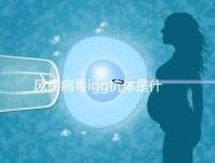 風(fēng)疹病毒igg抗體是什么,其實這就是基本懷孕條件
