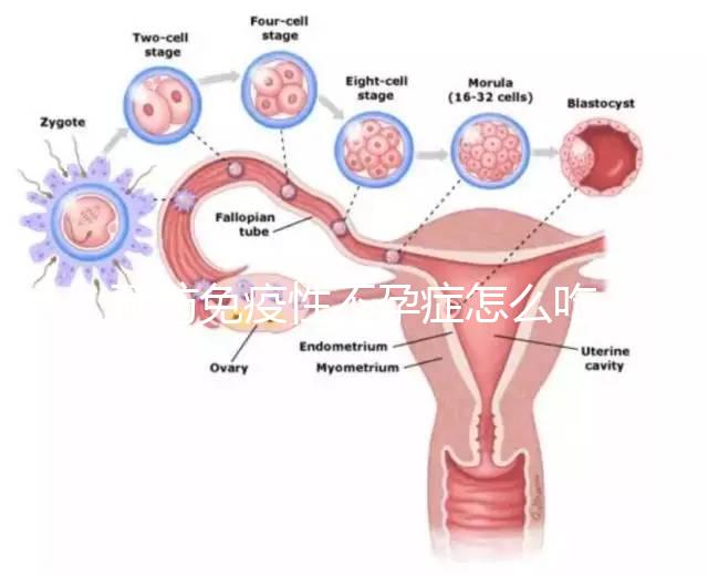 預(yù)防免疫性不孕癥怎么吃？
