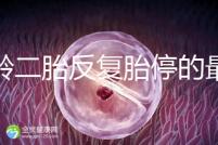 高齡二胎反復胎停的最大原因很簡單,染色體異常占50%