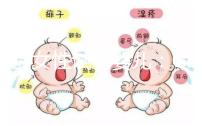 高齡女性試管嬰兒：GnRH拮抗劑方案VS高孕激素狀態促排卵方案