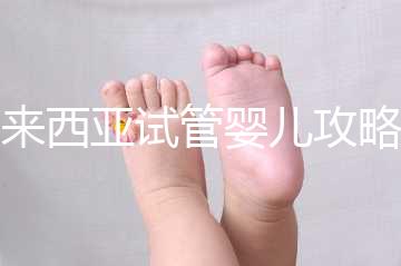 馬來西亞試管嬰兒攻略，試管流程及費用看完就懂