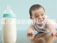 黃熱病疫苗接種最新流程詳解，這八大步驟你需要了解