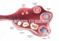 黃褐斑醫(yī)院(正規(guī)醫(yī)院祛斑大概要多少錢)