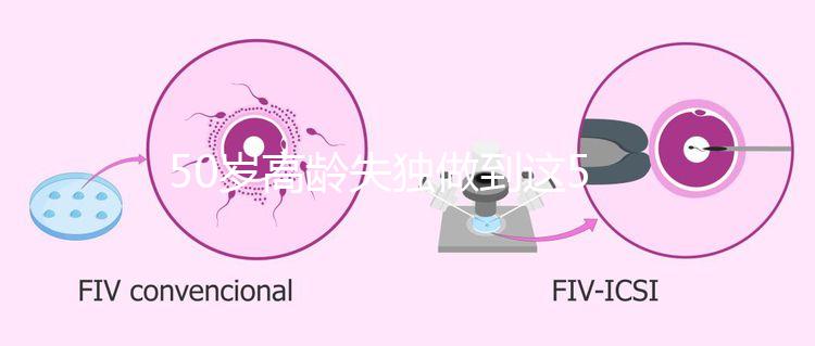 50歲高齡失獨(dú)做到這5點(diǎn)，自然受孕率幾率也能很高！