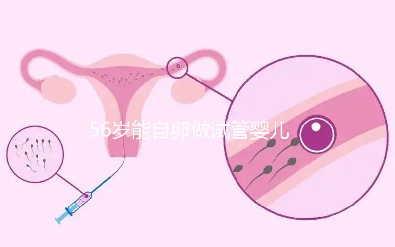 56歲能自卵做試管嬰兒嗎？“奶奶級媽媽”成功率真不高