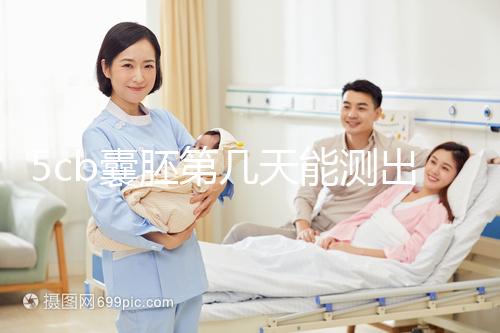 5cb囊胚第幾天能測(cè)出看移植成功后續(xù)發(fā)育怎么樣，不懂戳