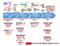 5bc囊胚移植后第六天測兩條杠要注意，第九天沒了不在少數(shù)