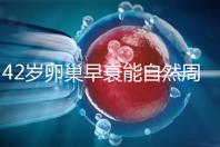 42歲卵巢早衰能自然周期取卵做試管嬰兒？