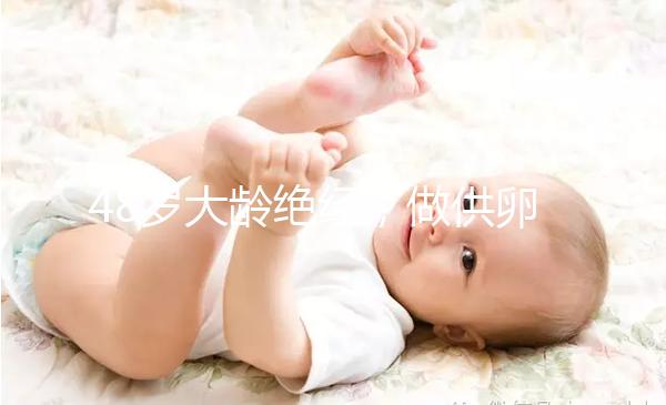 48歲大齡絕經，做供卵試管嬰兒的成功率有多高？