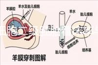 6細胞二級胚胎著床率與養囊成功率解讀，拿不準移植與否戳