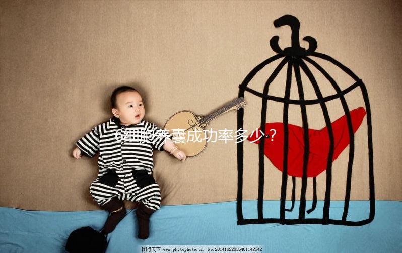 6細(xì)胞養(yǎng)囊成功率多少？不應(yīng)以“質(zhì)量”論結(jié)果