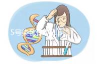 5號(hào)染色體q31.3微缺失綜合癥嚴(yán)重嗎？會(huì)怎么樣？