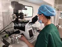 60s帶你了解如何調節凍胚移植前內膜厚卵泡小，快速收集