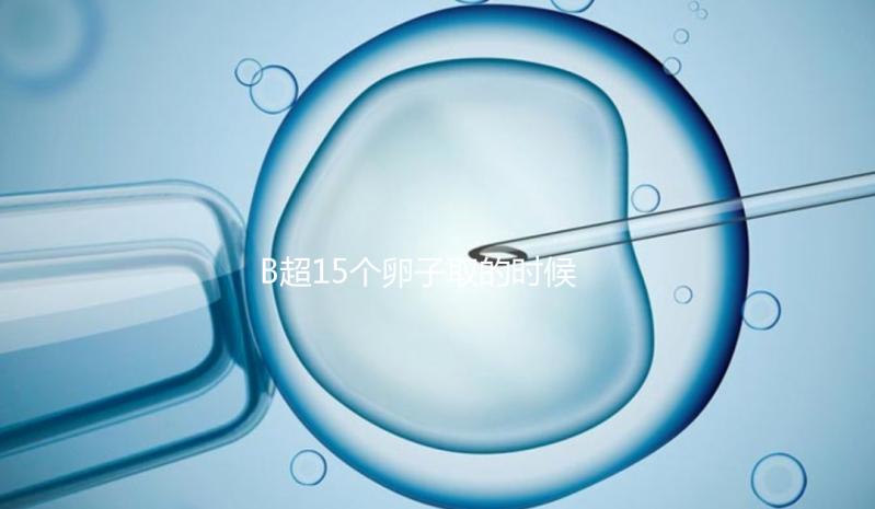 B超15個卵子取的時候只取了8個有原因的卵子，看起來不正常很清楚