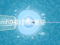 amh0.01做試管嬰兒有成功的嗎？有無卵子才是好孕關鍵