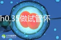 amh0.35做試管懷孕成功率多高？要看取卵數(shù)量、卵子質(zhì)量