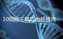 10細胞三級胚胎移植成功率多少看情況，身體好最快6天著床