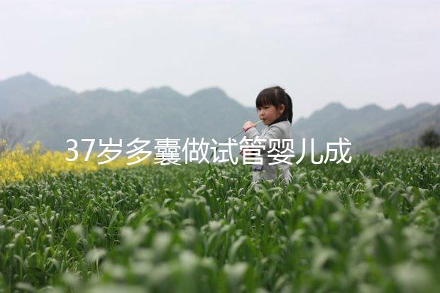 37歲多囊做試管嬰兒成功幾率多高？國內哪里做比較好